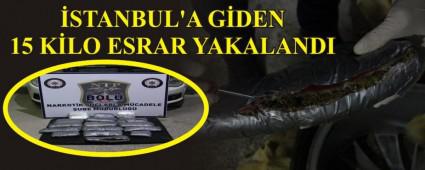 �STANBUL'A G�DEN 15 K�LO ESRAR YAKALANDI
