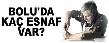 BOLU'DA KA� ESNAF VAR?