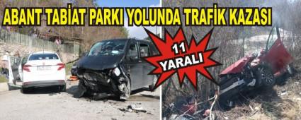 ABANT TAB�AT PARKI YOLUNDA TRAF�K KAZASI: 11 YARALI