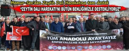 �ZEYT�N DALI HAREKATI'NI B�T�N BENL���M�ZLE DESTEKL�YORUZ�