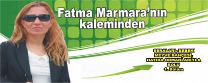 SERALARI, BEBEK MEYVE BAH�ES�, HATIRA ORMANLARIYLA BOLU 1. B�l�m