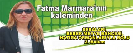 SERALARI, BEBEK MEYVE BAH�ES�, HATIRA ORMANLARIYLA BOLU  2. B�l�m
