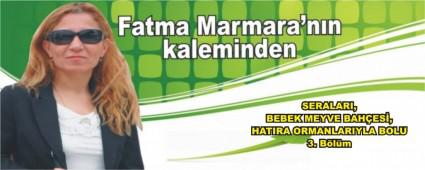 SERALARI, BEBEK MEYVE BAH�ES�, HATIRA ORMANLARIYLA BOLU  3. B�l�m