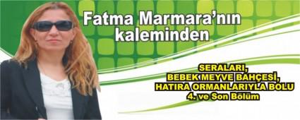 SERALARI, BEBEK MEYVE BAH�ES�, HATIRA ORMANLARIYLA BOLU  4. ve Son B�l�m