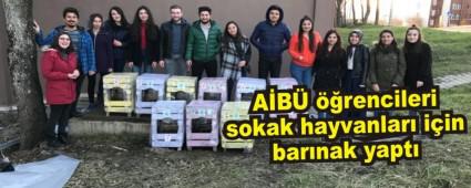 A�B� ��rencileri sokak hayvanlar� i�in bar�nak yapt�
