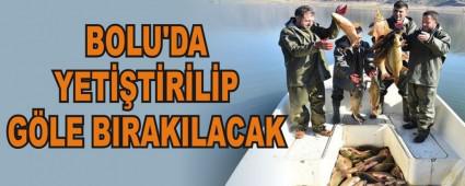 BOLU'DA YET��T�R�L�P G�LE BIRAKILACAK