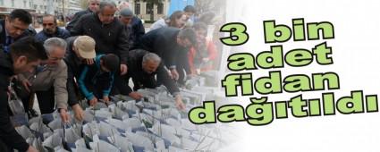 3 bin adet fidan da��t�ld�