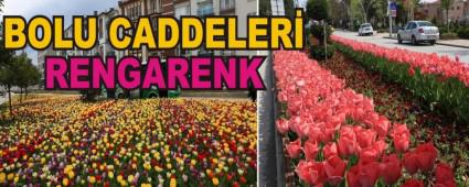 BOLU CADDELER� RENGARENK
