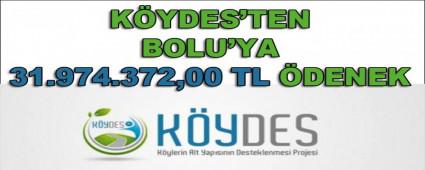 K�YDES\'TEN BOLU\'YA 31.974.372,00 TL �DENEK