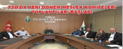 TSO\'DA YEN� D�NEM MESLEK KOM�TELER� TOPLANTILARI BA�LADI