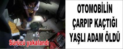 OTOMOB�L�N �ARPIP KA�TI�I YA�LI ADAM �LD�