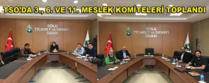 TSO\'DA 3., 6. VE 11. MESLEK KOM�TELER� TOPLANDI