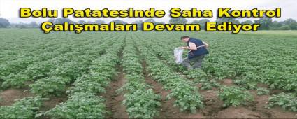 BOLU PATATES�NDE SAHA KONTROL �ALI�MALARI DEVAM ED�YOR