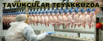 TAVUK�ULAR TEYAKKUZDA