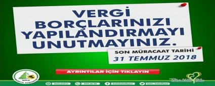 VERG� AFFI ���N 31 TEMMUZ SON