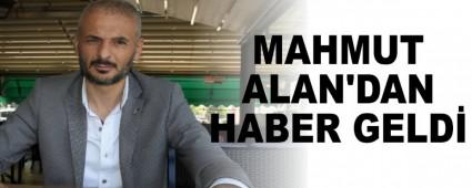 MAHMUT ALAN'DAN HABER GELD�
