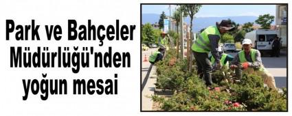 Park ve Bah�eler M�d�rl���'nden yo�un mesai