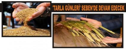 �TARLA G�NLER�' SEBEN'DE DEVAM EDECEK
