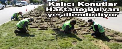 Kal�c� Konutlar Hastane Bulvar� ye�illendiriliyor