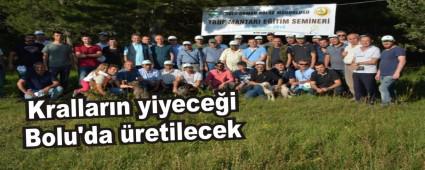 Krallar�n yiyece�i Bolu'da �retilecek