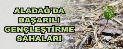 ALADA�'DA BA�ARILI GEN�LE�T�RME SAHALARI