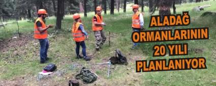 ALADA� ORMANLARININ 20 YILI PLANLANIYOR