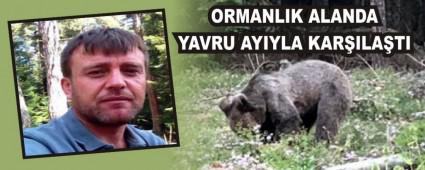 ORMANLIK ALANDA YAVRU AYIYLA KAR�ILA�TI