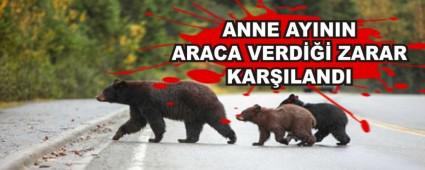 ANNE AYININ ARACA VERD��� ZARAR KAR�ILANDI