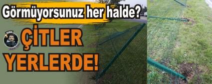 G�rm�yorsunuz her halde?