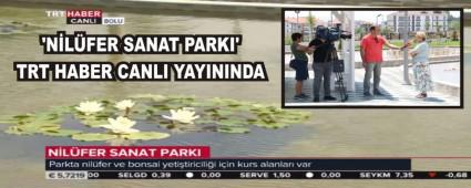 �N�L�FER SANAT PARKI' TRT HABER CANLI YAYININDA