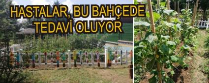 HASTALAR, BU BAH�EDE TEDAV� OLUYOR