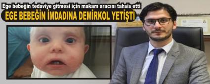 EGE BEBE��N �MDADINA DEM�RKOL YET��T�
