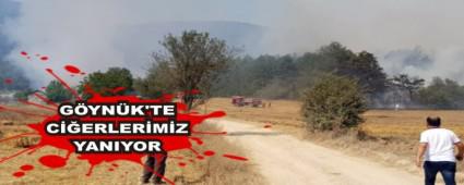 G�YN�K'TE C��ERLER�M�Z YANIYOR
