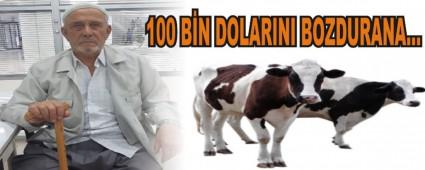 Hac� Amcadan dolar kampanyas�na �artl� destek!