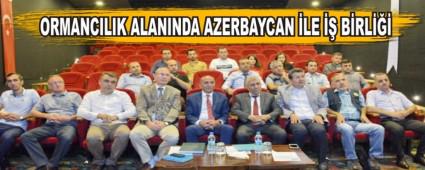 ORMANCILIK ALANINDA AZERBAYCAN �LE �� B�RL���