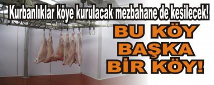 BU K�Y BA�KA B�R K�Y!