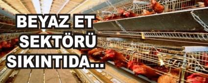 BEYAZ ET SEKT�R� SIKINTIDA�