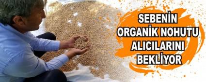 Sebenin organik nohutu al�c�lar�n� bekliyor