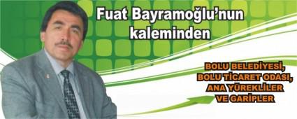 BOLU BELED�YES�, BOLU T�CARET ODASI, ANA Y�REKL�LER VE GAR�PLER