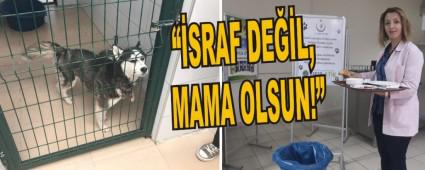 ��SRAF DE��L, MAMA OLSUN!�