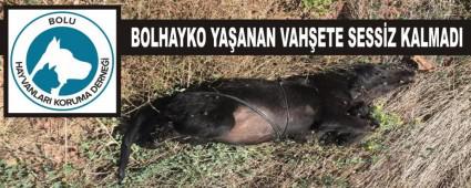 BOLHAYKO YA�ANAN VAH�ETE SESS�Z KALMADI