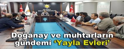 Do�anay ve muhtarlar�n g�ndemi; �Yayla Evleri\'