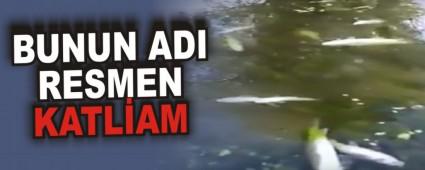 BUNUN ADI RESMEN KATL�AM