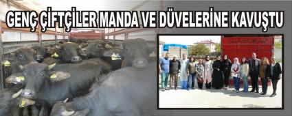 GEN� ��FT��LER MANDA VE D�VELER�NE KAVU�TU