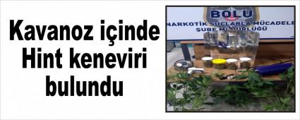 Kavanoz i�inde Hint keneviri bulundu
