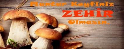 MANTAR KEYF�N�Z ZEH�R OLMASIN