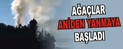 A�A�LAR AN�DEN YANMAYA BA�LADI