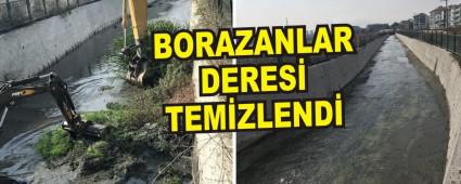 BORAZANLAR DERES� TEM�ZLEND�