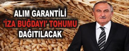 ALIM GARANT�L� ��ZA BU�DAYI' TOHUMU DA�ITILACAK