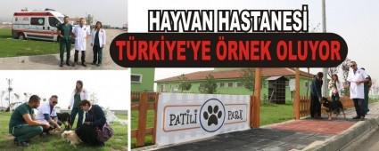 HAYVAN HASTANES� T�RK�YE'YE �RNEK OLUYOR
